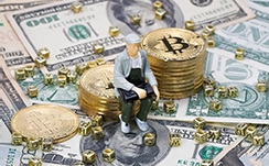 2025年的款式是3个购车指南:5个礼包 三大限时权益